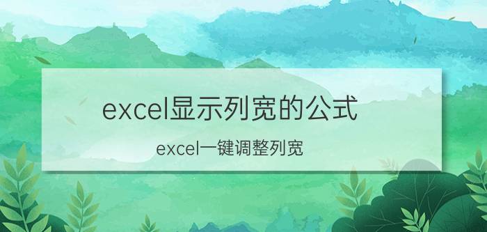 excel显示列宽的公式 excel一键调整列宽？